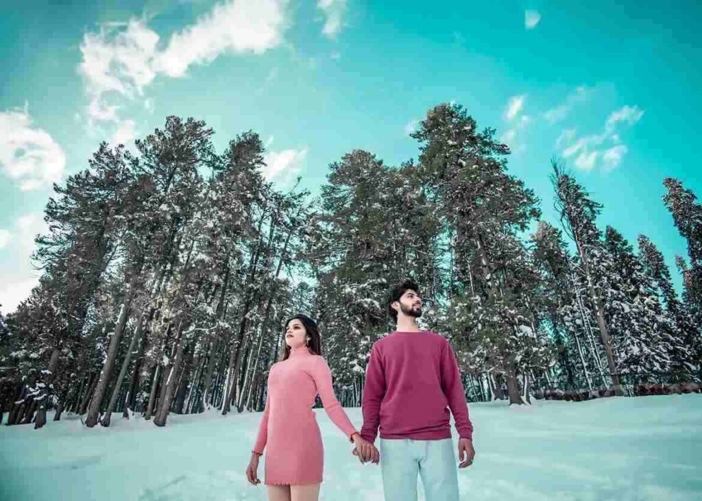 Couple holding hands during a snowy pre-wedding shoot among pine trees